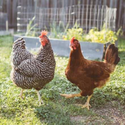 Petition to remove 1/5 acre requirement for richmond, IN