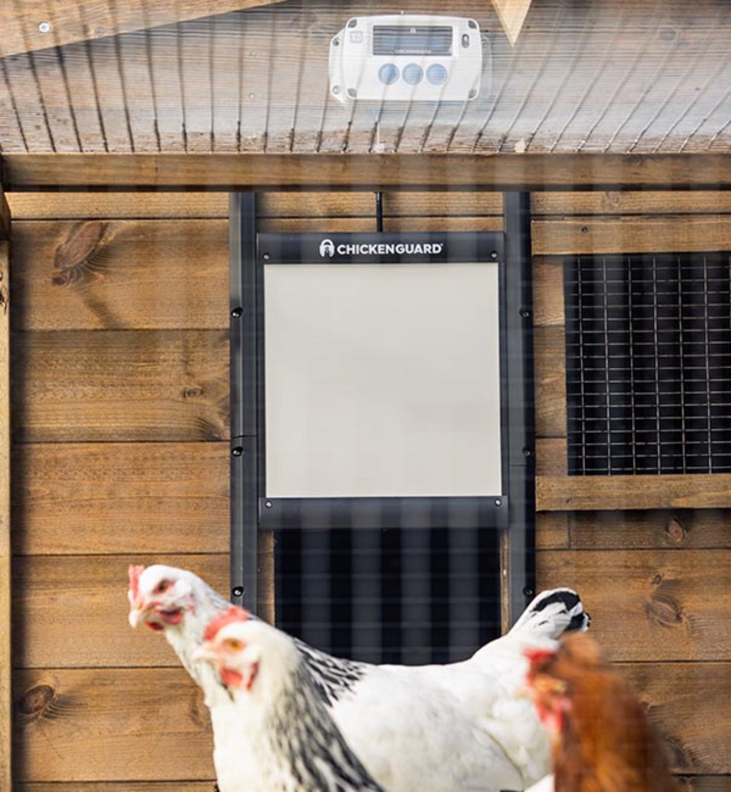 ChickenGuard Pro with Self-Locking Door Kit