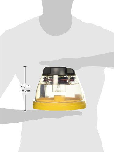 Brinsea Products Mini II Advance Automatic 7 Egg Incubator, One Size - Farmer Brad LLC