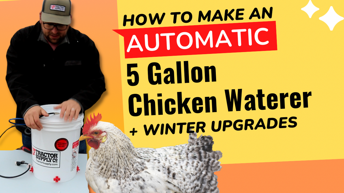 How to make a 5 gallon Automatic Chicken Waterer | Plus winter upgrade