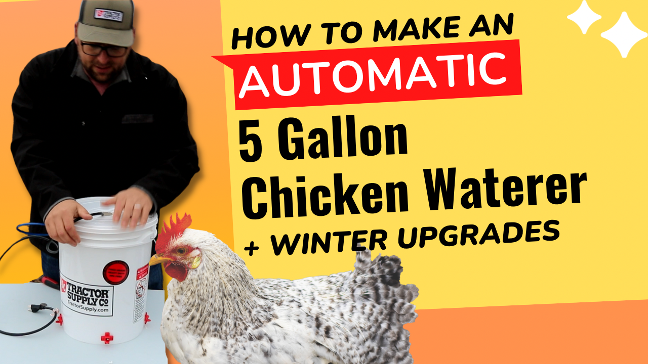 How to make a 5 gallon Automatic Chicken Waterer | Plus winter upgrade