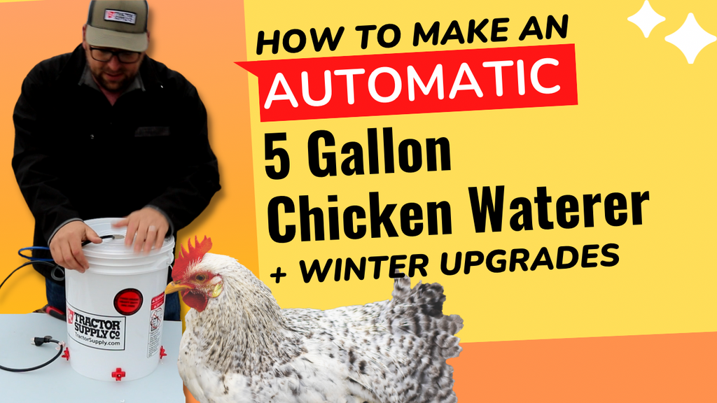How to make a 5 gallon Automatic Chicken Waterer Plus winter upgrade