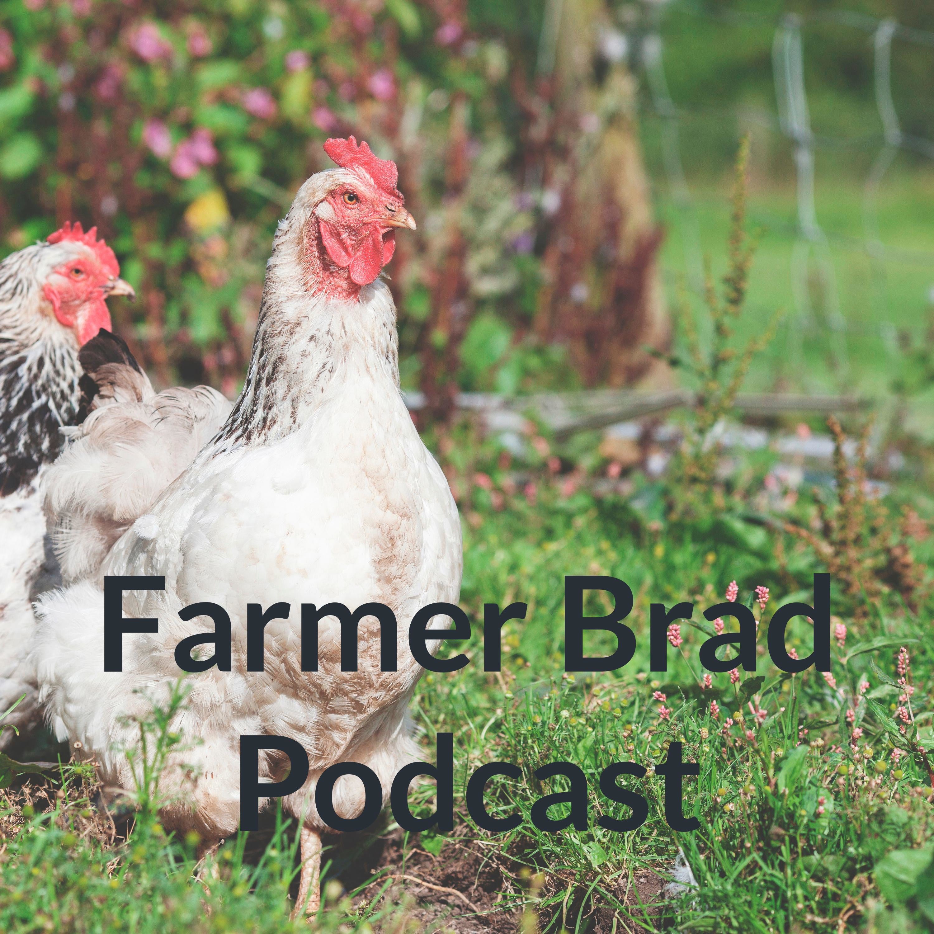 S01E01: How to deal with loss on the farm?
