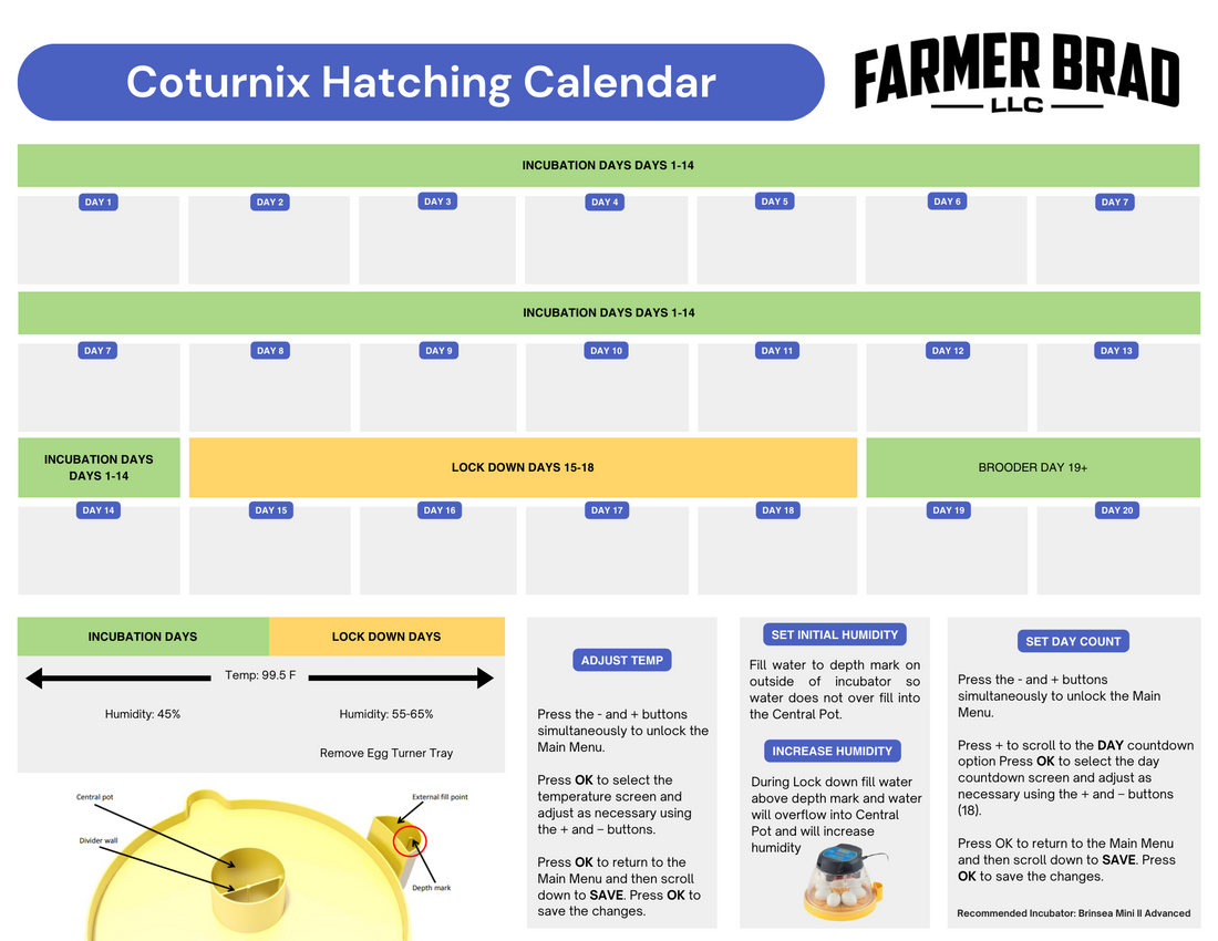 Free Coturnix Quail Hatching Calendar