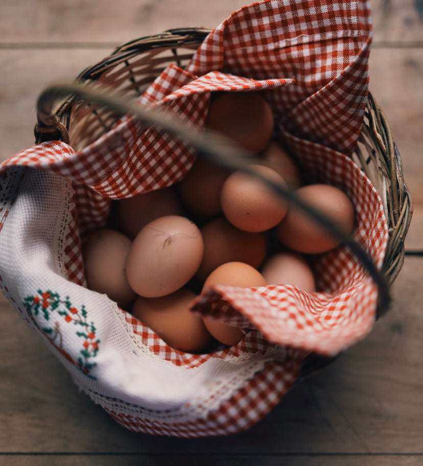 Why Your Chickens Stopped Laying Eggs: Understanding and Solving the Common Causes