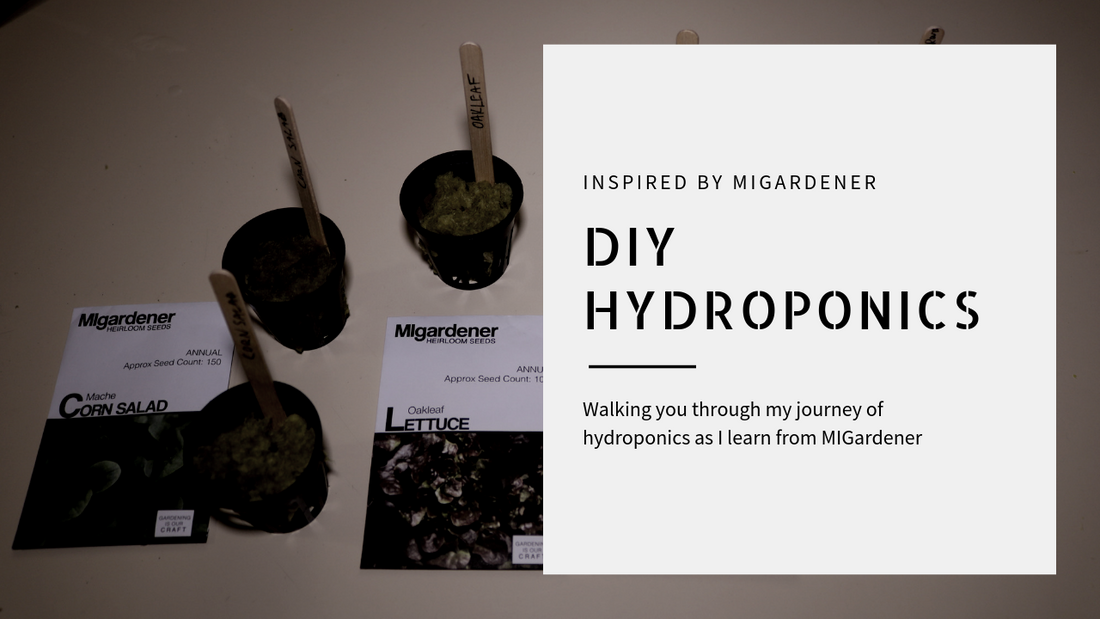 DIY Hydroponics: How to start growing indoors