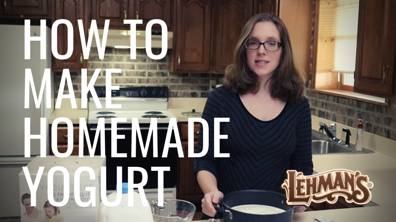 How to make homemade yogurt