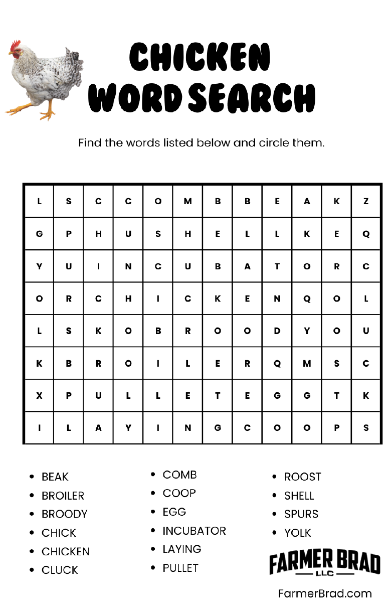 FREE DOWNLOAD - Chicken Word Search