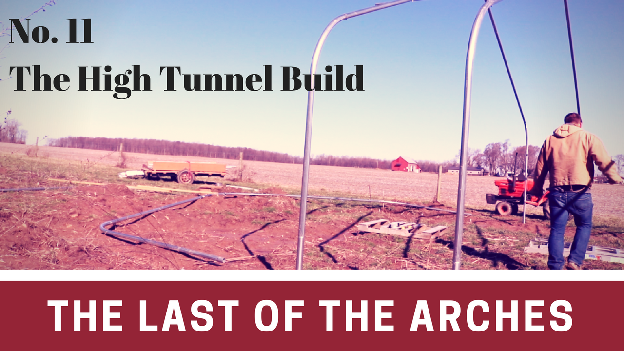 The Last of the Arches