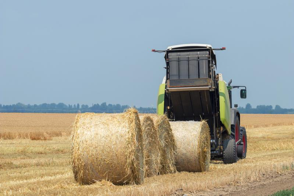 5 Ways to Prep and Store Hay Bales to Feed Your Livestock