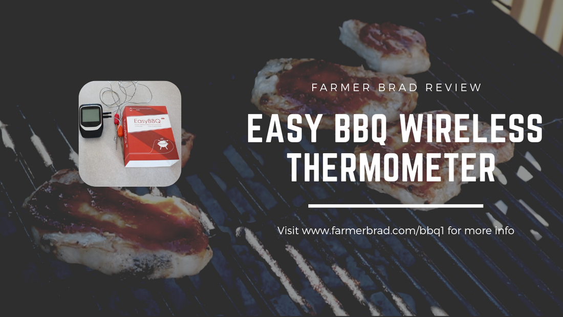 BBQ Thermometer Review