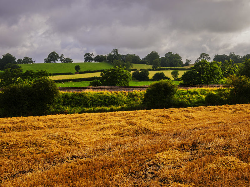 5 Principles of Ethical Growing