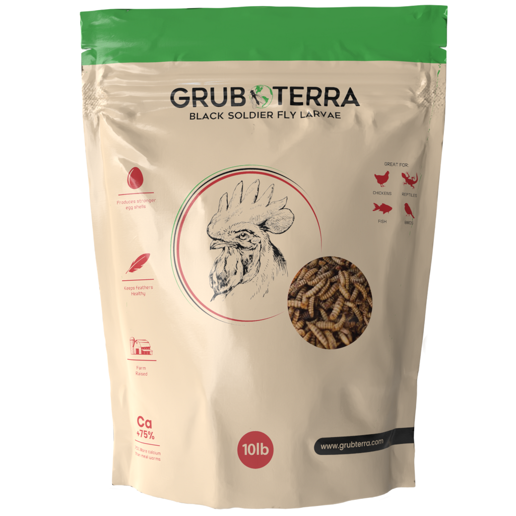 GrubTerra Dried Black Soldier Fly Larvae