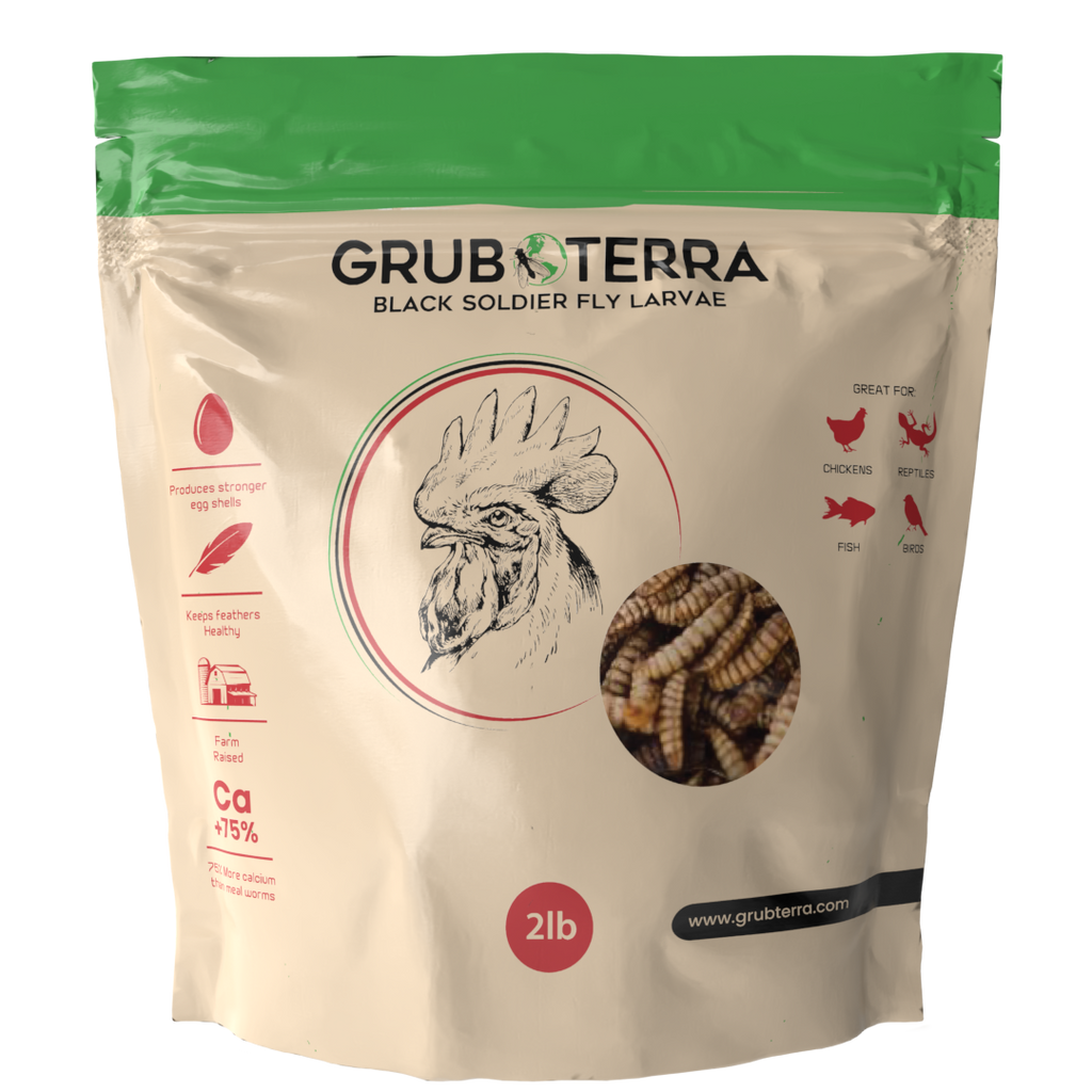 GrubTerra Dried Black Soldier Fly Larvae