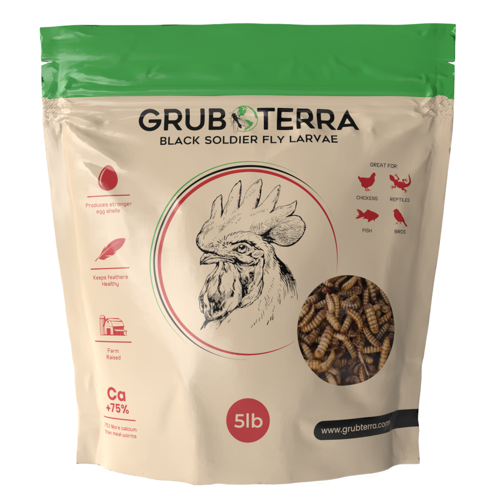 GrubTerra Dried Black Soldier Fly Larvae