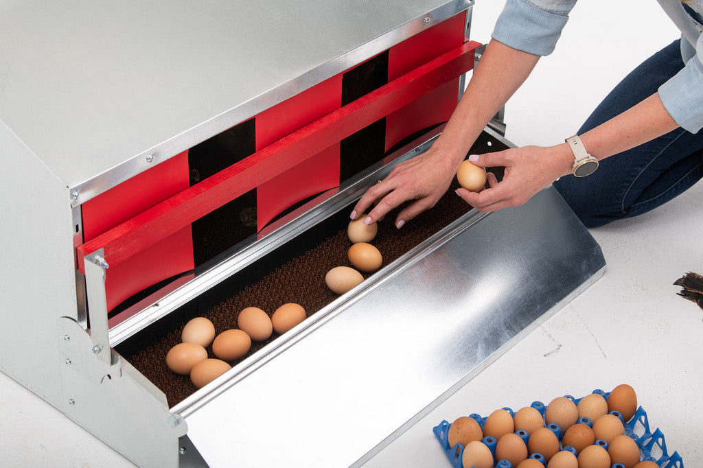 Caja nido desplegable reversible mediana (34") (hasta 32 gallinas) - Grado premium - Envío gratuito