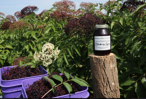 American Elderberry Syrup (1-quart)