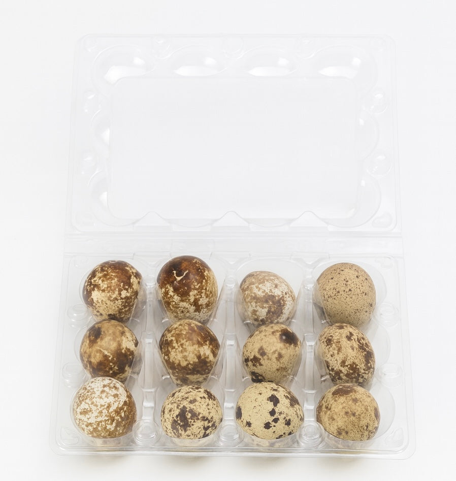 Huevos de Coturnix
