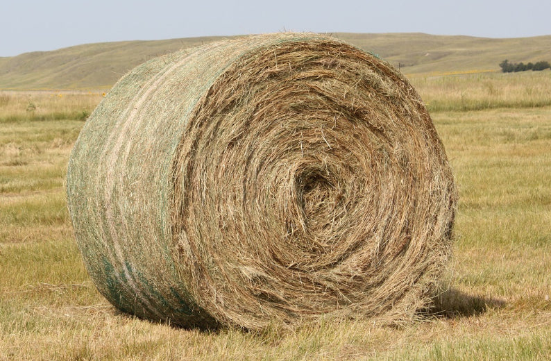 Donate to Purchase 1 Hay Bale for Farmer Brad’s animals