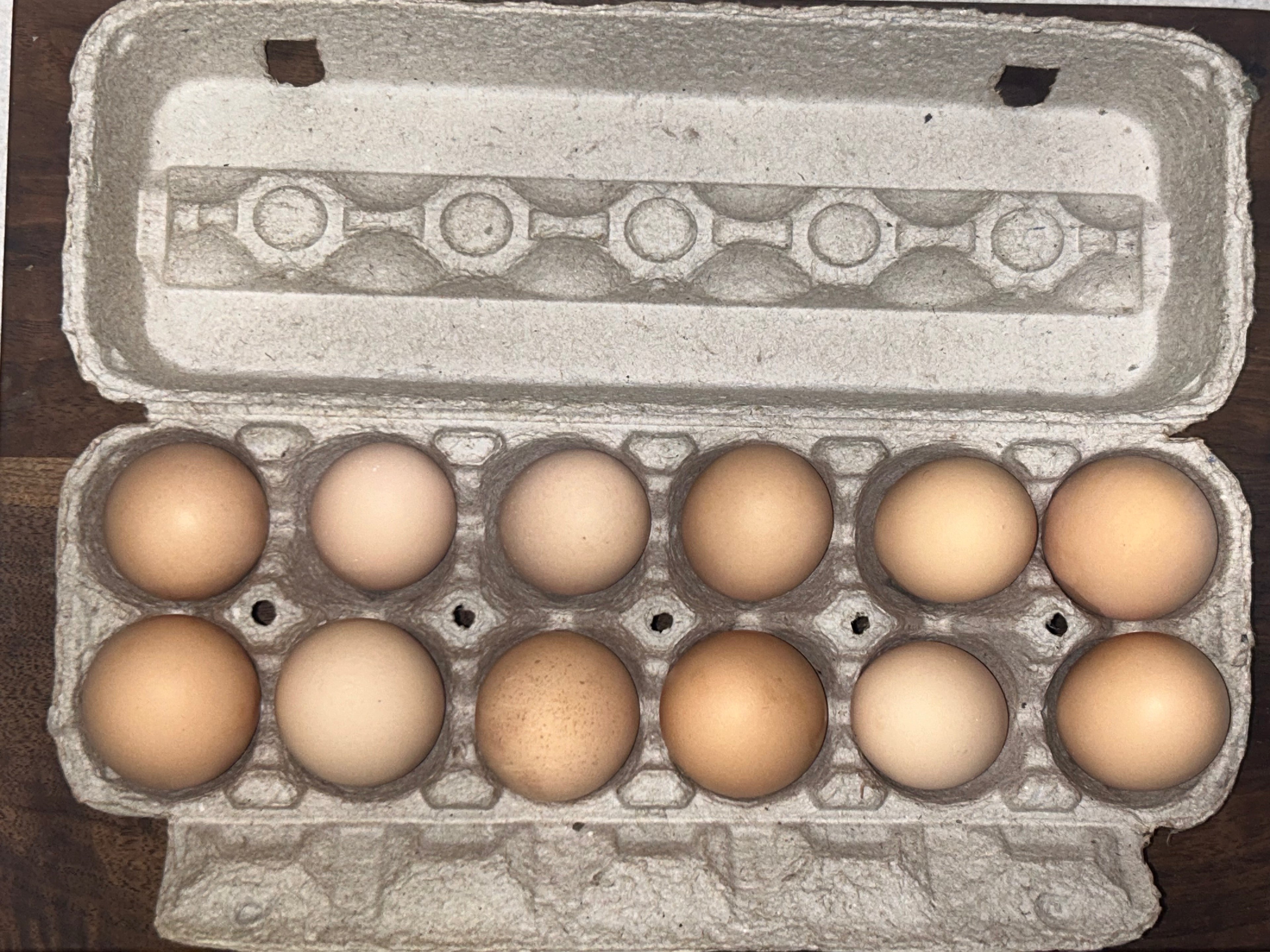Farm Fresh Chicken Eggs