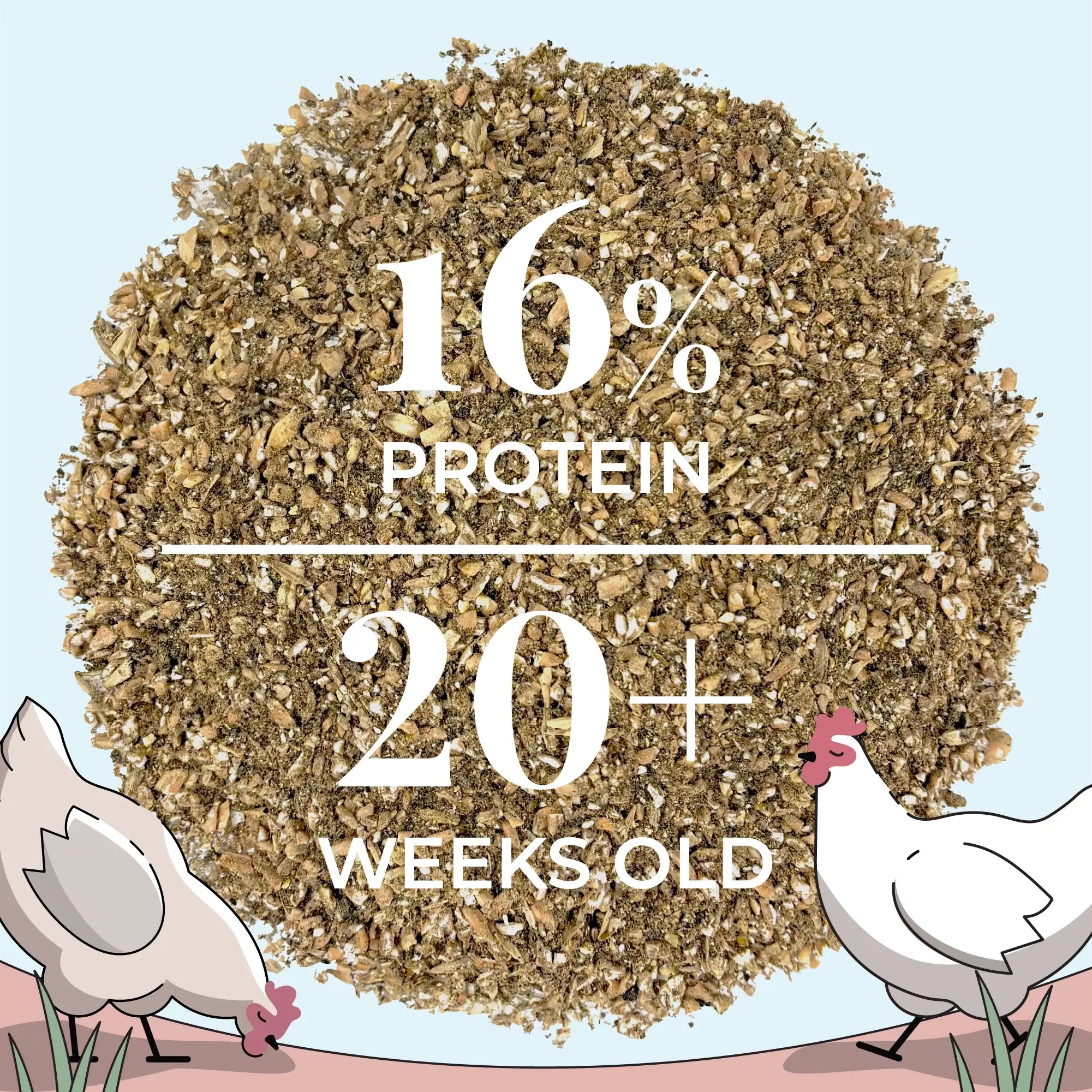 Layer Organic Chicken Feed