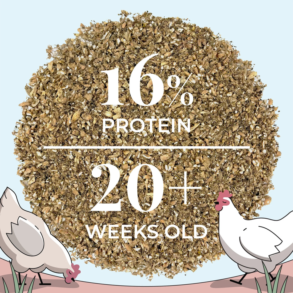 Layer Feed Kit | 1 Month of Organic Feed, Grit & Oyster Shell for 10 Layers