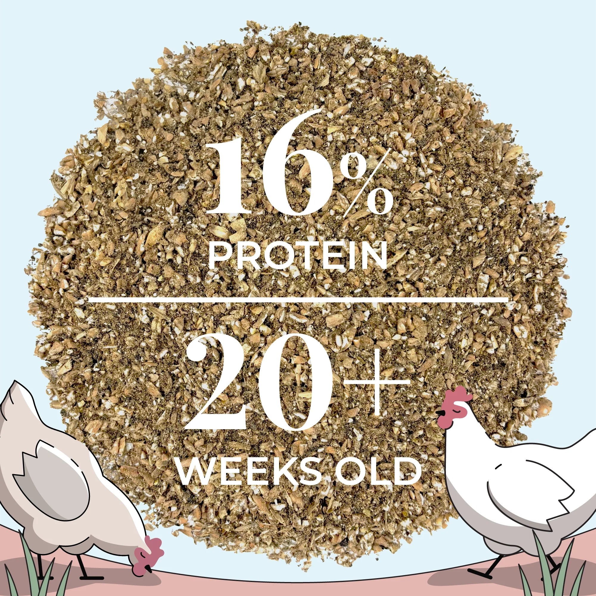 Layer Feed Kit | 1 Month of Organic Feed, Grit & Oyster Shell for 10 Layers