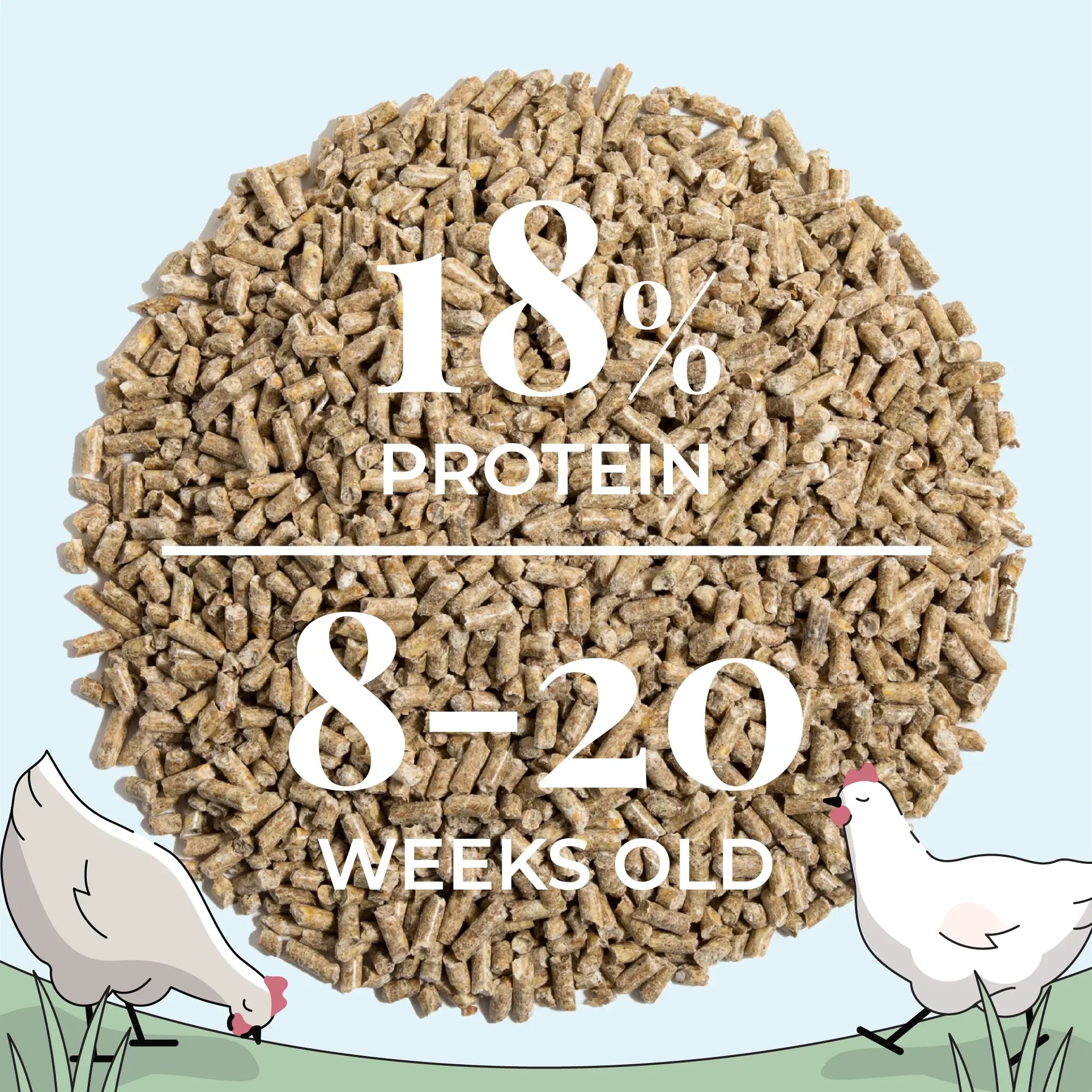 Grower Feed Kit | 12 Weeks of Organic Feed & Grit for 10 Pullets