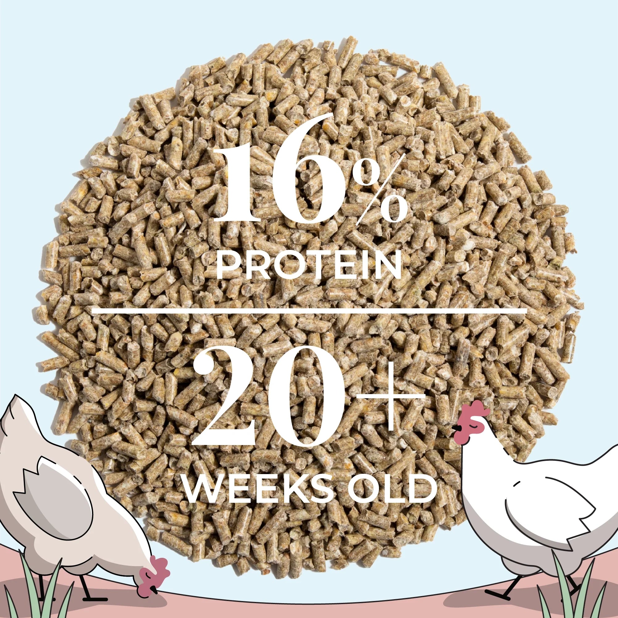 Layer Feed Kit | 1 Month of Organic Feed, Grit & Oyster Shell for 10 Layers