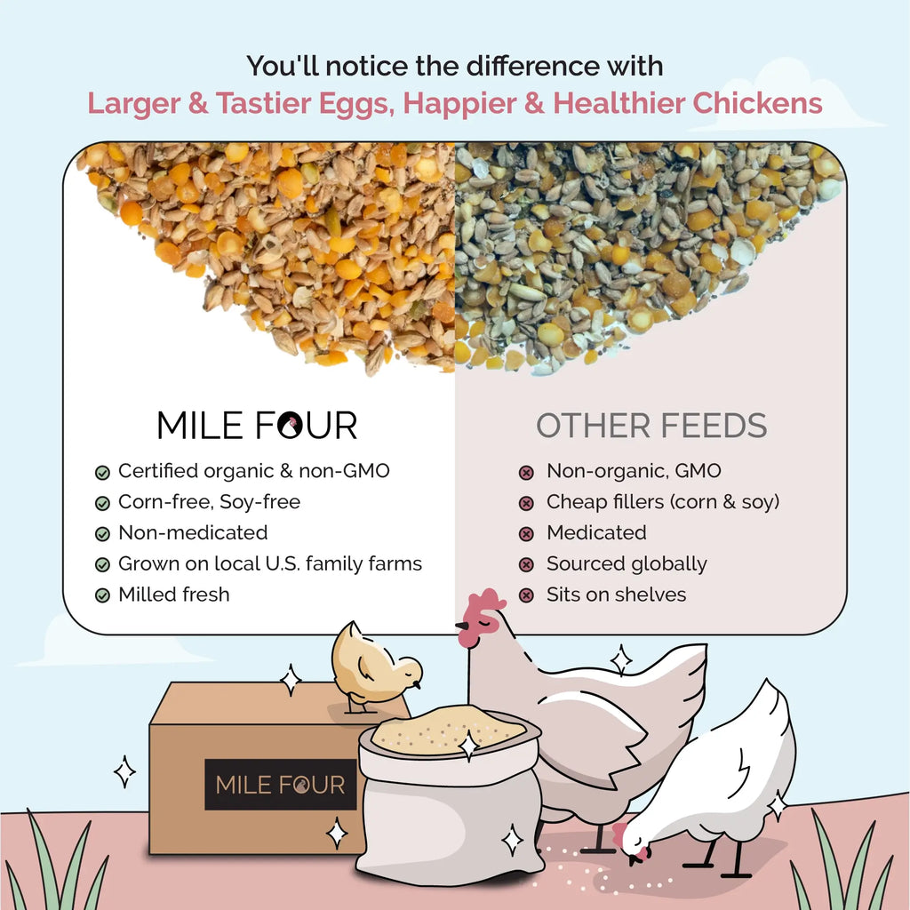 Layer Feed Kit | 1 Month of Organic Feed, Grit & Oyster Shell for 10 Layers