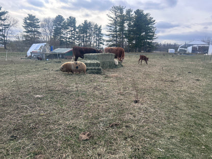 Donate to Purchase 1 Hay Bale for Farmer Brad’s animals