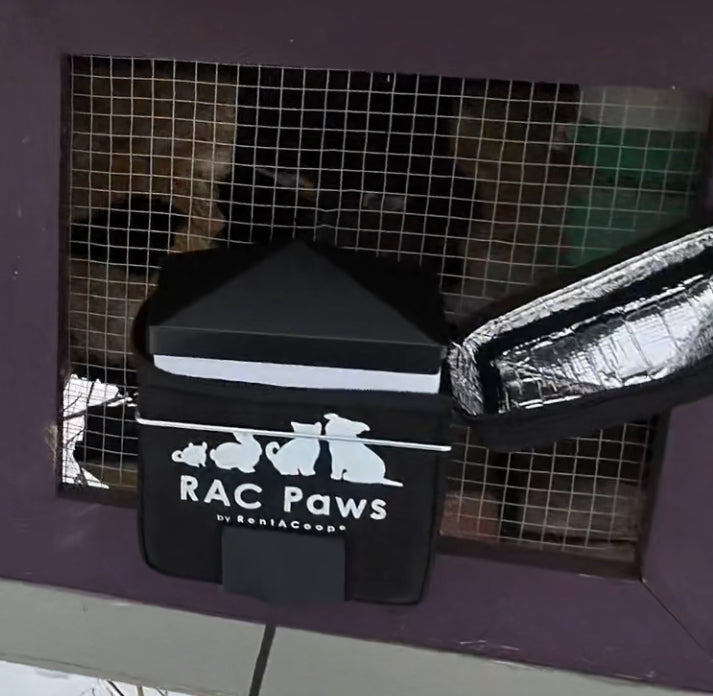 RAC Paws by RentACoop Zero Chill Heated Drinker – 64 oz All-in-One Small Animal Waterer with Heater & Insulated Cover, Cold-Weather Tested to -10°F, for Rabbits and Guinea Pigs