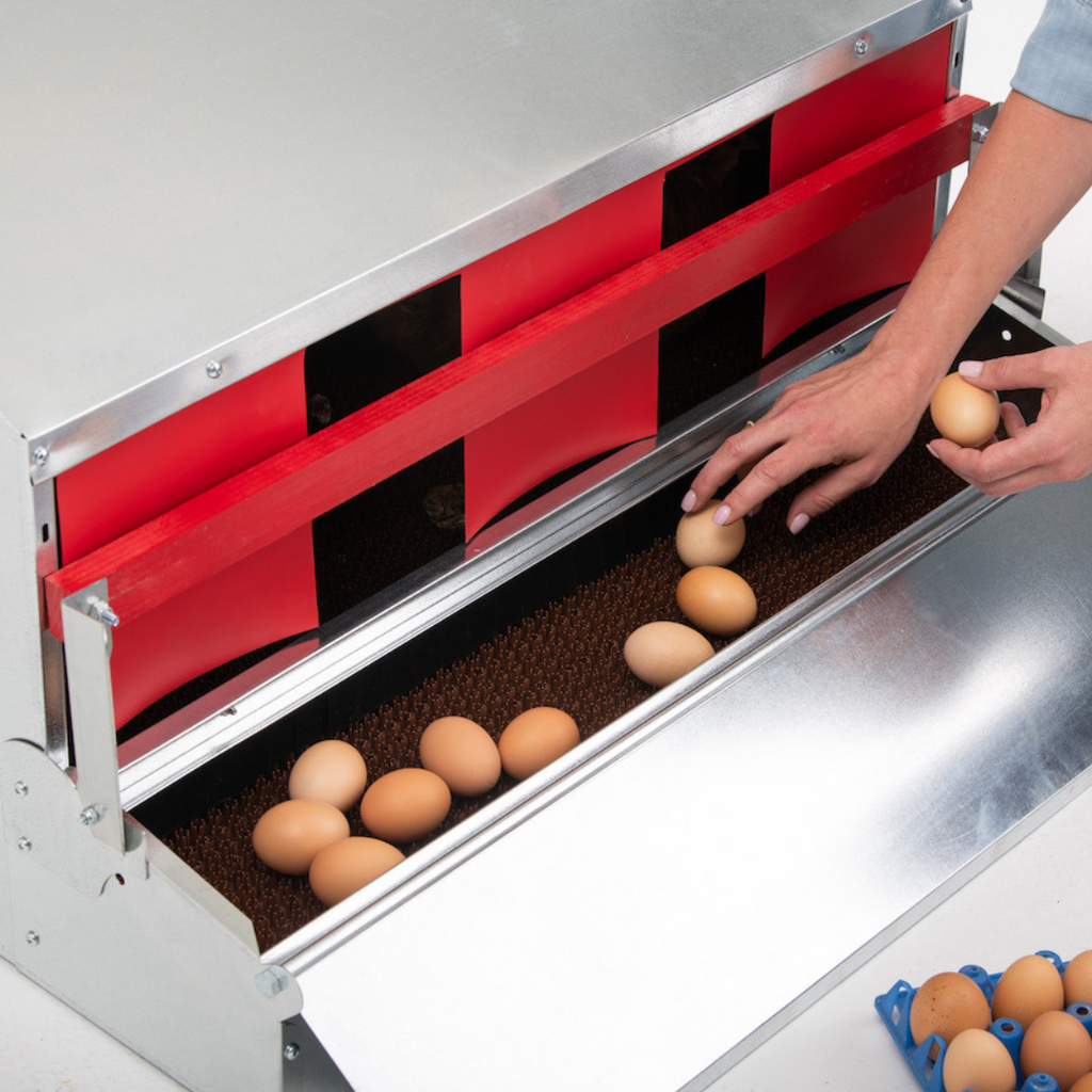 Caja nido desplegable reversible mediana (34") (hasta 32 gallinas) - Grado premium - Envío gratuito