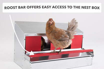 Caja nido desplegable reversible mediana (34") (hasta 32 gallinas) - Grado premium - Envío gratuito