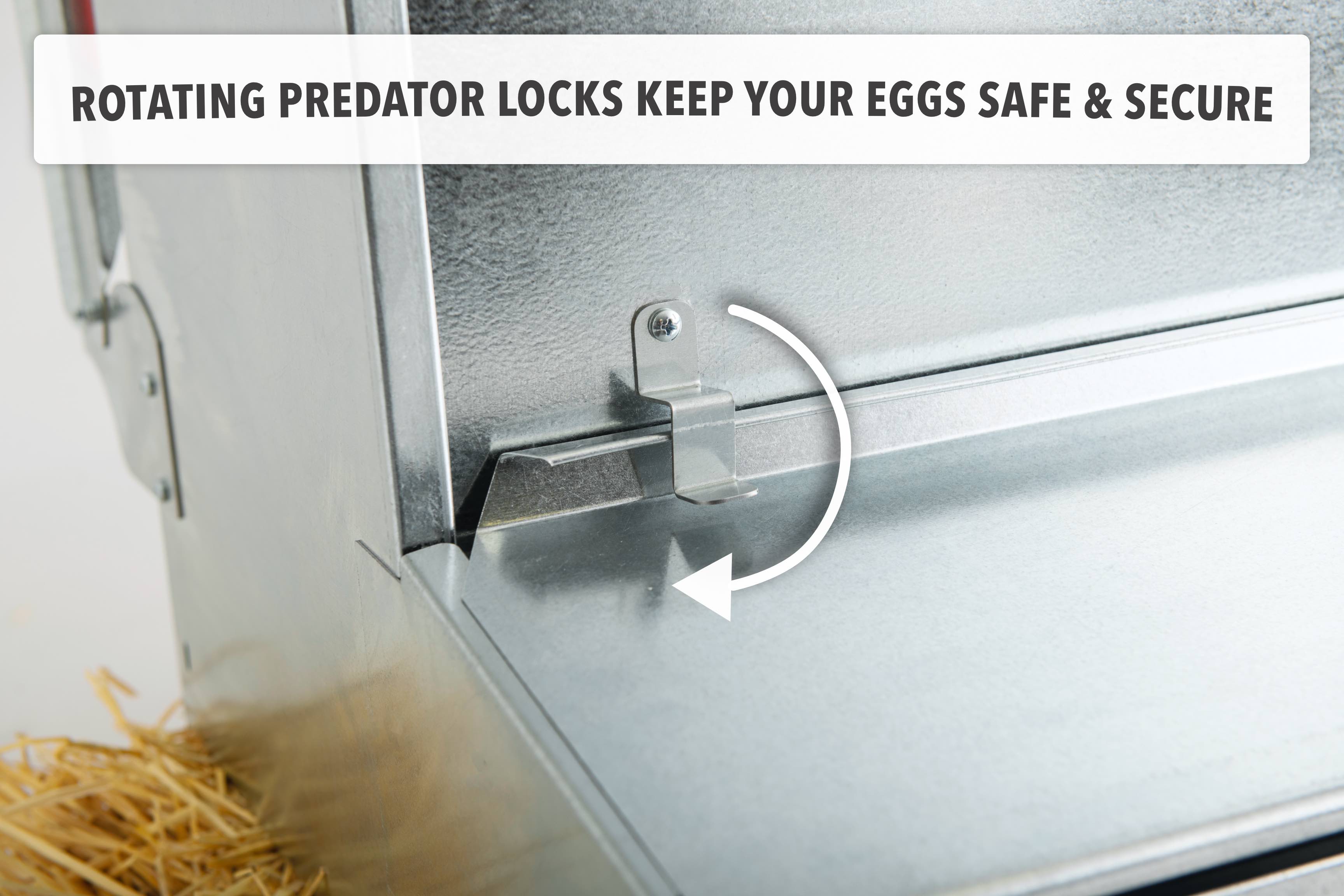 Caja nido desplegable reversible mediana (34") (hasta 32 gallinas) - Grado premium - Envío gratuito
