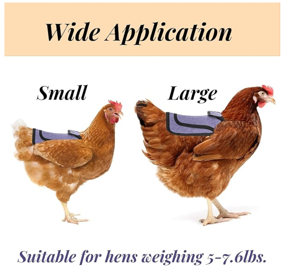 Chicken Saddles with Adjustable Strap (3-PACK)