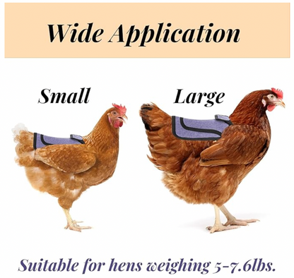 Chicken Saddles with Adjustable Strap (3-PACK)