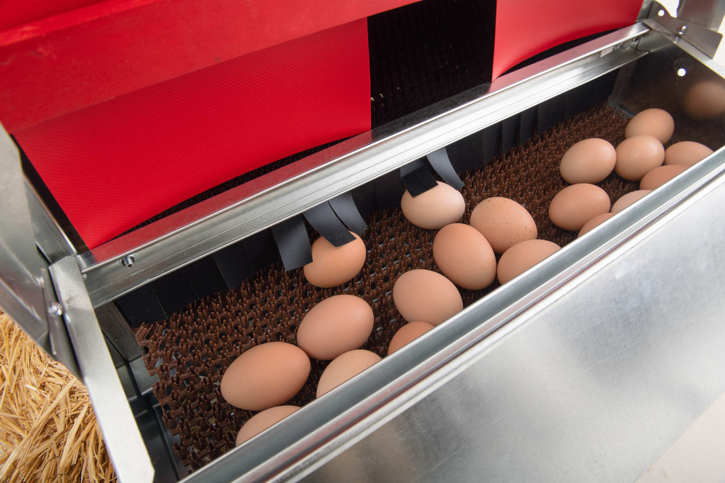 Caja nido enrollable reversible pequeña (24") (hasta 20 gallinas) - Grado Premium - Envío gratis