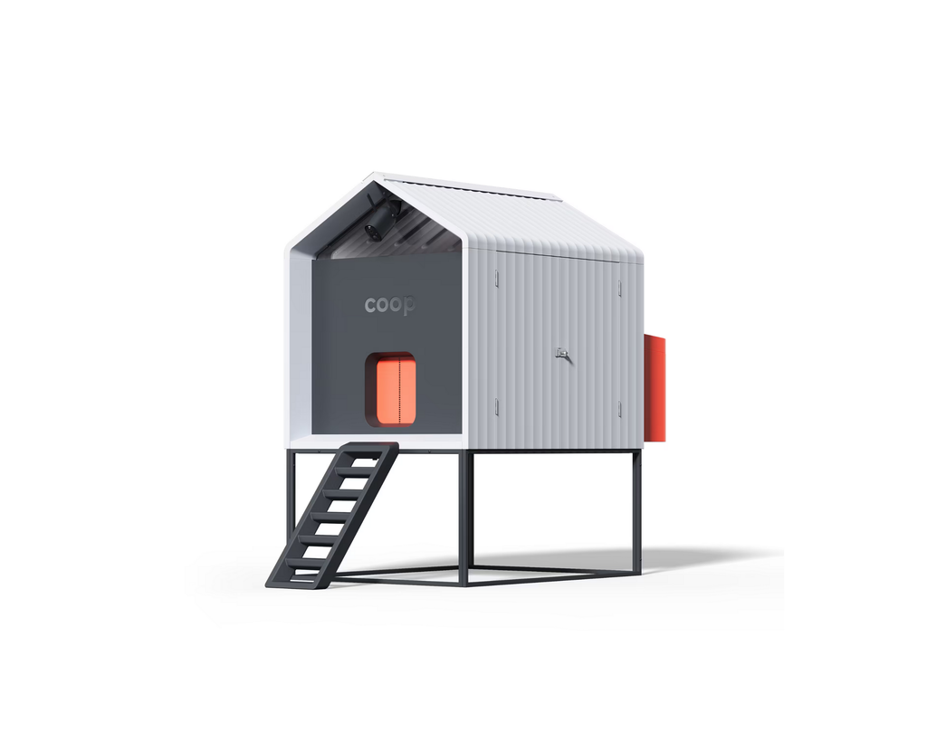 The Smart Coop + Steel Run