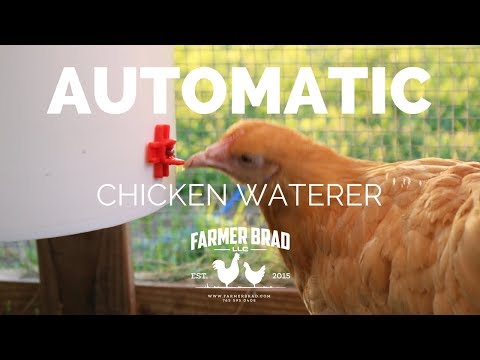 Automatic Chicken Waterer (2 Gallon) – Farmer Brad