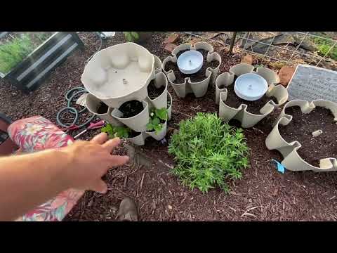 Jardinera vertical GreenStalk de 5 niveles