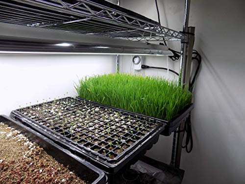 1020 Trays - Extra Strength No Holes, 5 pack, for Propagation Seed Starter, Plant Germination, Strong Seedling Flat, Fodder, Microgreens - Farmer Brad LLC