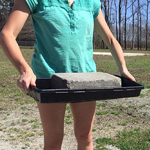 flat plastic trays for plants 1020 Trays - Extra Strength No Holes, 5 pack, for Propagation Seed Starter, Plant Germination, Strong Seedling Flat, Fodder, Microgreens