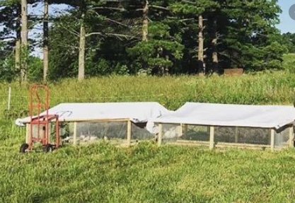 Alquiler de tractores para pollos