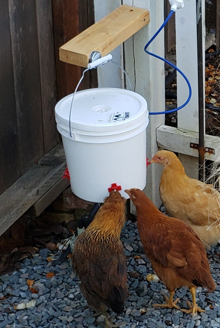  Automatic Chicken Waterer Feeder Complete Set, Poultry