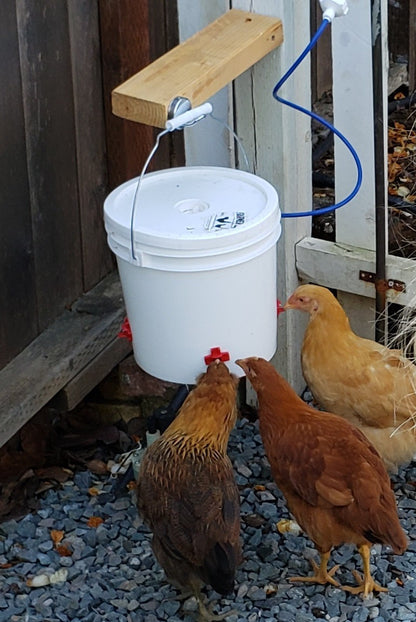 Automatic Chicken Waterer (2 Gallon) - Farmer Brad LLC