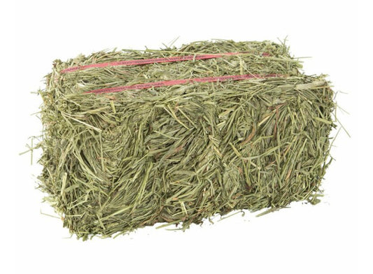 Donate to Purchase 1 Hay Bale for Farmer Brad’s animals