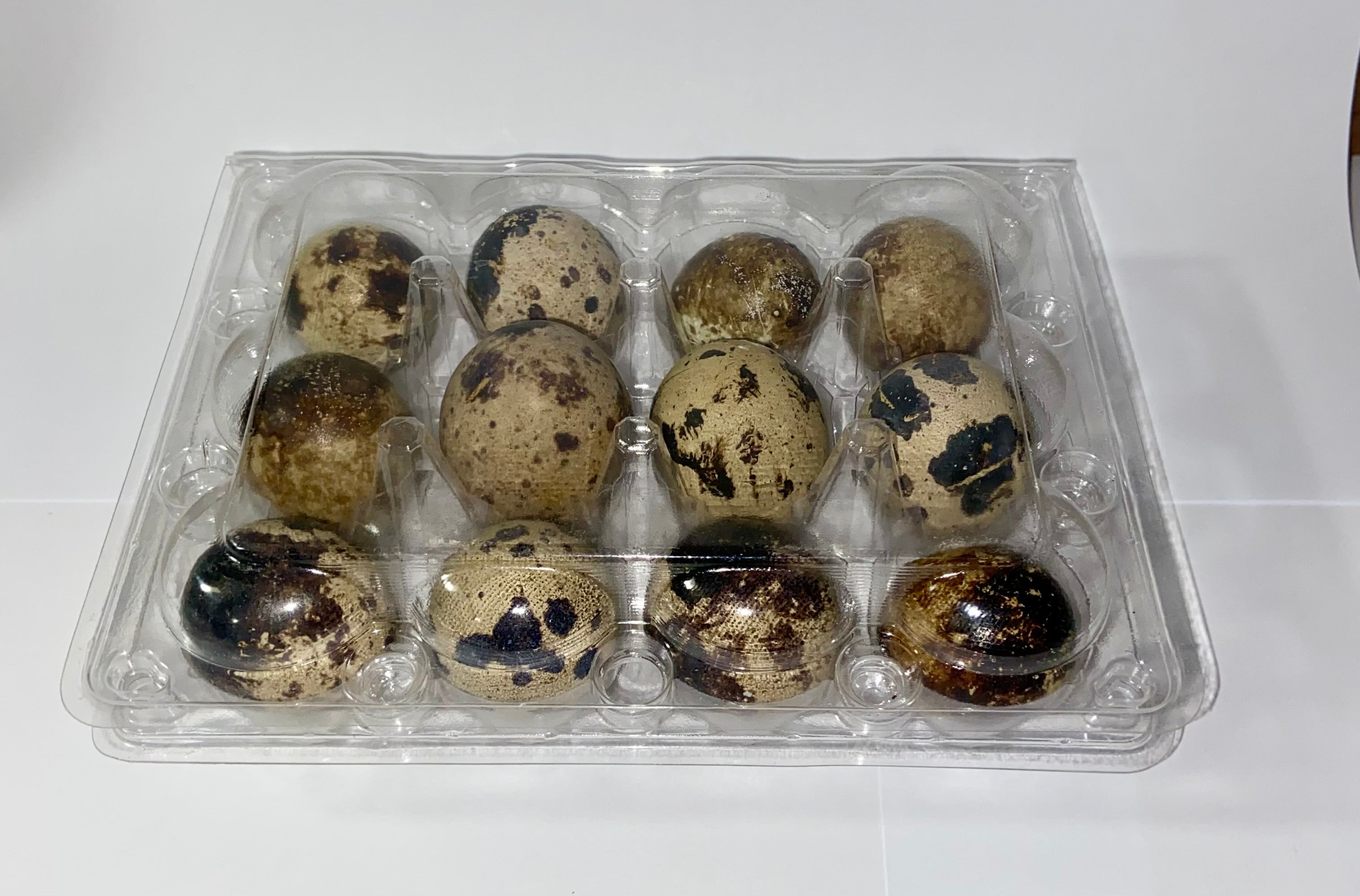 Huevos de Coturnix