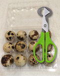 [Local Item] Quail Eggs with one pair scissors