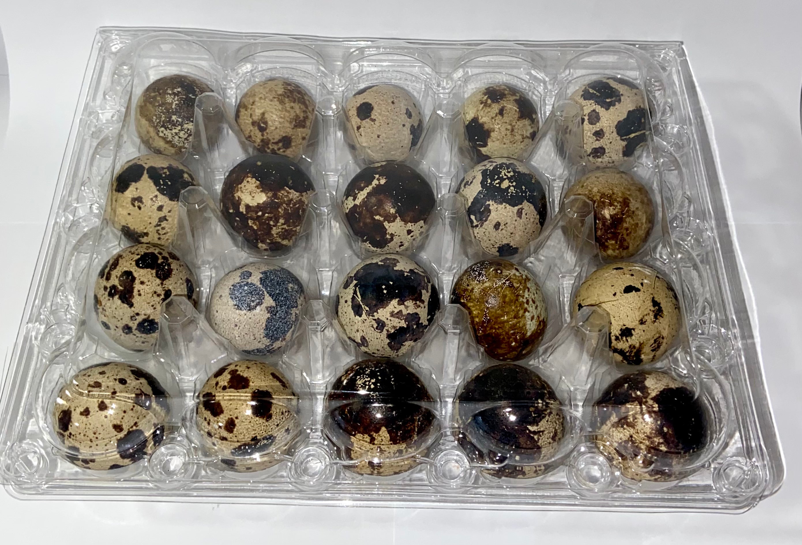 Huevos de Coturnix